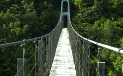 Bild Hängebrücke